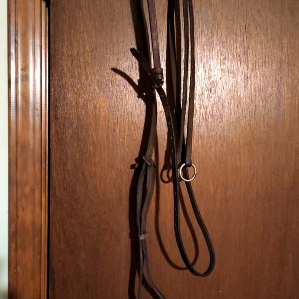 Horse size schooling running martingale